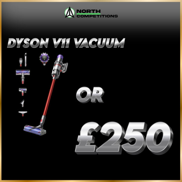 Dyson V11 or £250